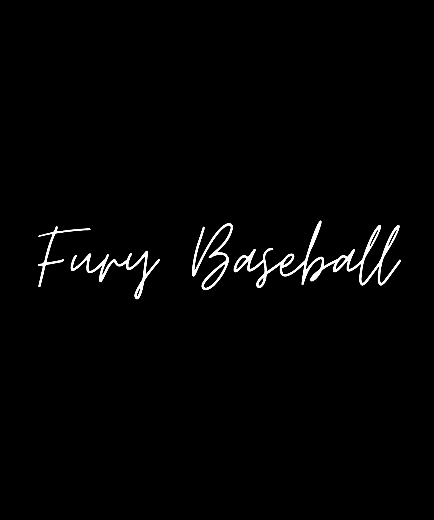 Fury Baseball